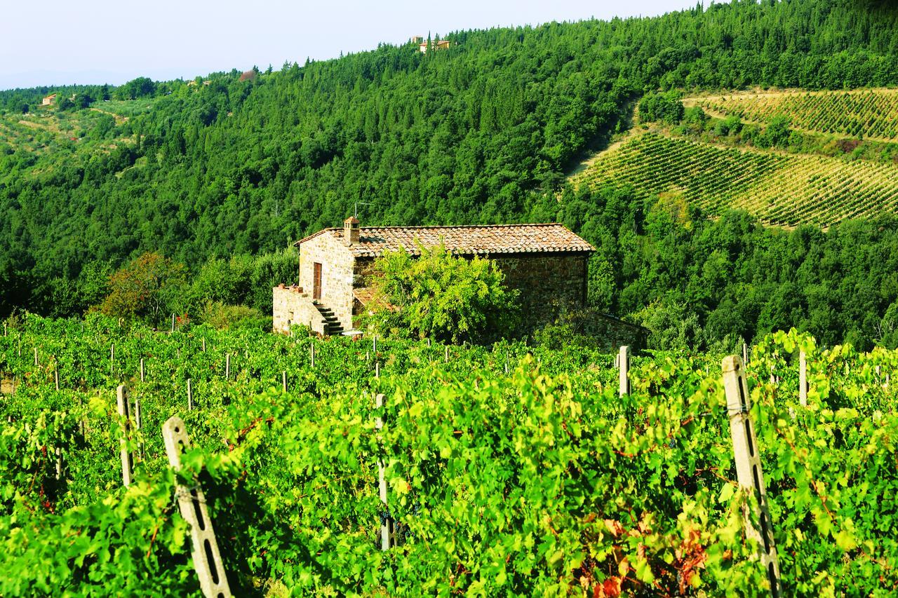 Agriturismo Piemaggino คาสเตลลินาอินเคียนติ ภายนอก รูปภาพ