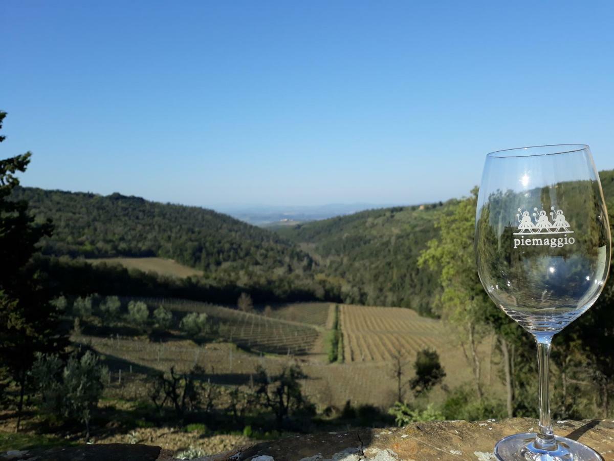 Agriturismo Piemaggino คาสเตลลินาอินเคียนติ ภายนอก รูปภาพ